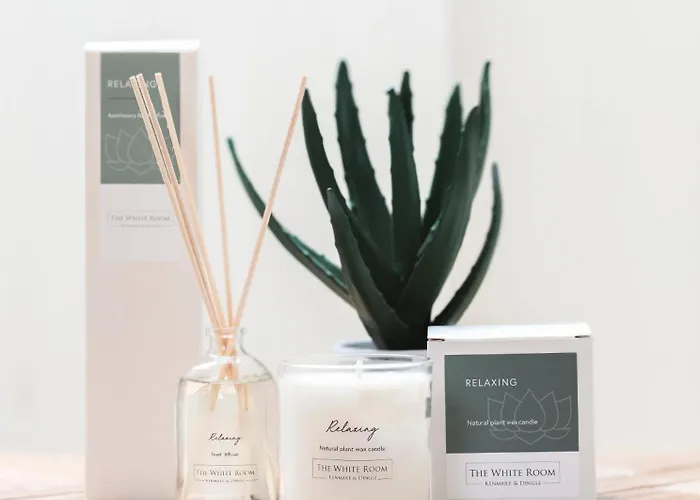 Shelbourne Georgian Townhouse * קנמארה